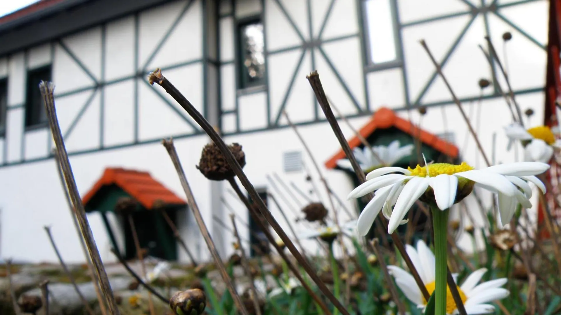 Dom Potok Guest House Karpacz